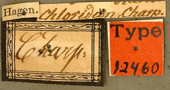 Media type: image; Entomology 12460   Aspect: labels